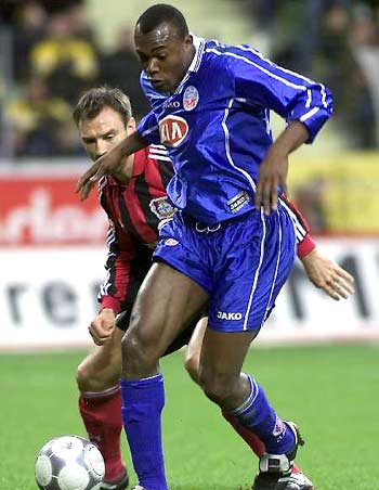 埃尔切的比 埃尔切的比