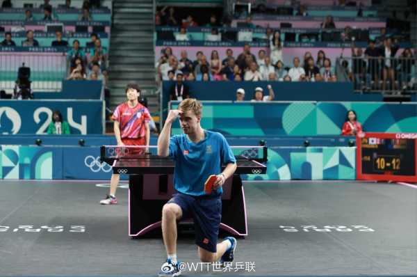 球员高效执 球员高效执