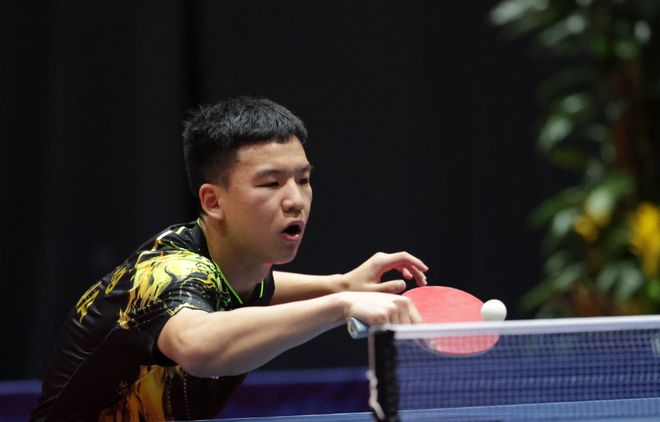 羽毛球领域 羽毛球领域